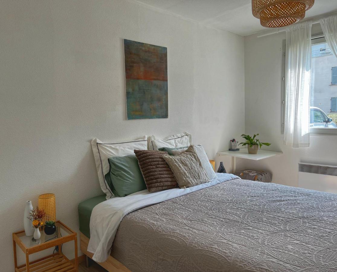 La Voulzie Appartement - Proche Centre Avec Parking Prive Провен Екстериор снимка